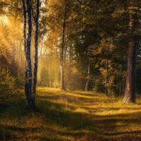 Куда ты, дорожка, меня привела... :: Александр Катюрин Куда ты, дорожка, меня привела... :: Александр Катюрин