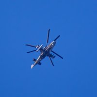 Ка-52 в небе
