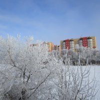 зимы прекрасные моменты
