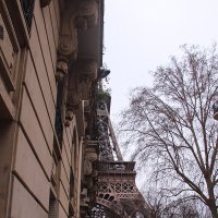 Манящая ножка главной парижской красавицы