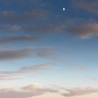 IMG_3617