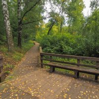Прогулки в Осеннем Парке