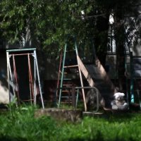 Повседневная жизнь