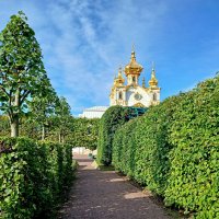 Аллея Верхнего сада. :: Лия ☼ Аллея Верхнего сада. :: Лия ☼