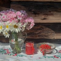 Июльское лето! :: Нина Андронова