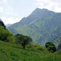 МАЛЕНЬКАЯ ПРОГУЛКА.
