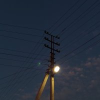 Тепло в прохладе вечера :: Reiko _