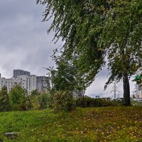 Осень в городе