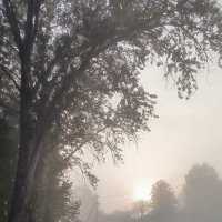 Утро туманное, утро седое...