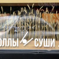 Вот и осень - пора сушить роллы.