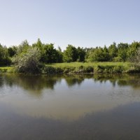 Река местная.
