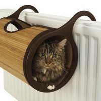 греется котик