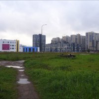 "деревня" Гражданка :: zavitok *