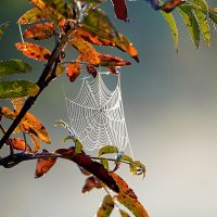 У озера :: Галина Кан