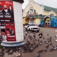 Прочее :: Валентина Береснева Прочее :: Валентина Береснева