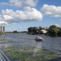 Река Старая Преголя, Калининград