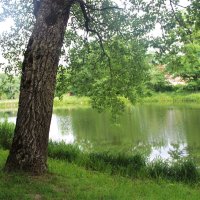 Пруд при Святском дворце