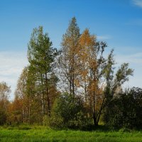 скоро осень