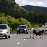 Путешествия :: Алексей Неустроев Путешествия :: Алексей Неустроев