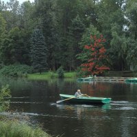 курс на осень