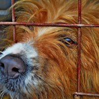 Шо...опять мимо проходишь? Я привык... :: Vladimir Semenchukov Шо...опять мимо проходишь? Я привык... :: Vladimir Semenchukov