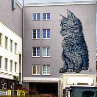 Котик :: Сергей Карачин Котик :: Сергей Карачин