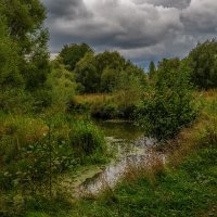 Осень в Дрезне