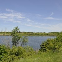 Местные зарисовки.