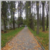 Вот и осень пришла...