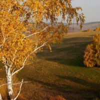 Золотая