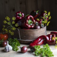 Набор для летних заготовок