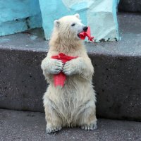 .....всё моё!