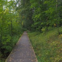 Дорожка