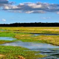 Тонкий труй воды у известной реки Луара