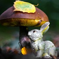 Где-то в тёмном лесу, где трепещут осины. :: Андрей Заломленков Где-то в тёмном лесу, где трепещут осины. :: Андрей Заломленков