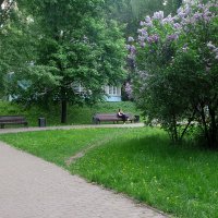 Екатерининский парк