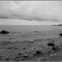 По берегу моря