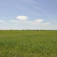 Поле весной. :: Виктор Поле весной. :: Виктор