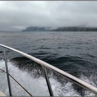 Камчатка. Морская прогулка
