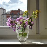 "Ромашки сорваны, завяли лютики.."