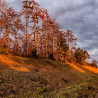 В лучах заката. :: Сергей Воротников В лучах заката. :: Сергей Воротников
