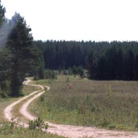 Дорога за грибами