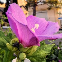 Календарь на природе.