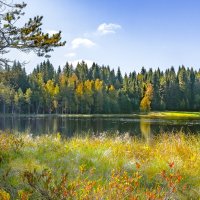 Озеро Чёрное, Вологодская область... :: Федор Кованский