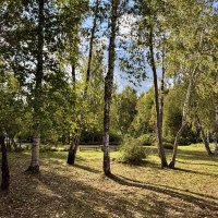 В парке…