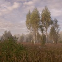 Утро туманное. :: Николай 