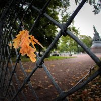 Про осень