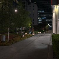 Московские дворы