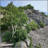 Камчатка. Петропавловск-Камчатский