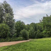 Парковые зарисовки.